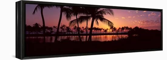 Silhouette of Palm Trees at Sunset, Anaehoomalu Bay, Waikoloa, Hawaii, USA-null-Framed Stretched Canvas