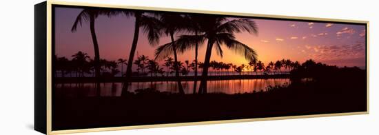 Silhouette of Palm Trees at Sunset, Anaehoomalu Bay, Waikoloa, Hawaii, USA-null-Framed Stretched Canvas