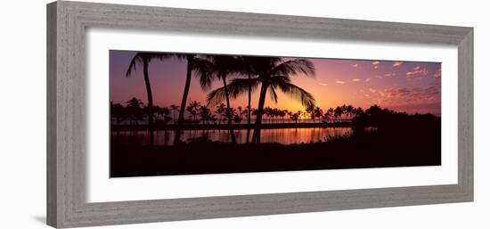 Silhouette of Palm Trees at Sunset, Anaehoomalu Bay, Waikoloa, Hawaii, USA-null-Framed Photographic Print