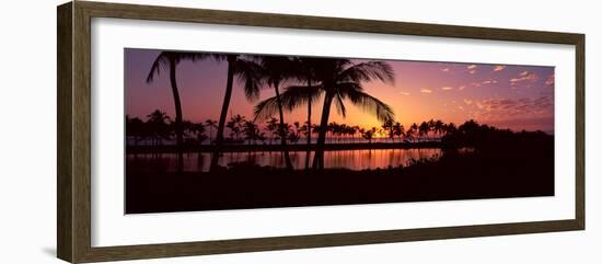 Silhouette of Palm Trees at Sunset, Anaehoomalu Bay, Waikoloa, Hawaii, USA-null-Framed Photographic Print