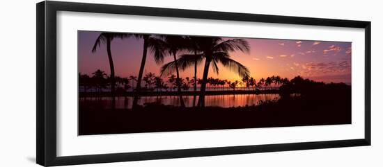 Silhouette of Palm Trees at Sunset, Anaehoomalu Bay, Waikoloa, Hawaii, USA-null-Framed Photographic Print