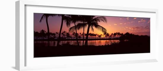 Silhouette of Palm Trees at Sunset, Anaehoomalu Bay, Waikoloa, Hawaii, USA-null-Framed Photographic Print
