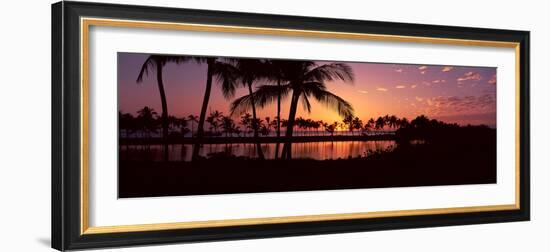 Silhouette of Palm Trees at Sunset, Anaehoomalu Bay, Waikoloa, Hawaii, USA-null-Framed Photographic Print