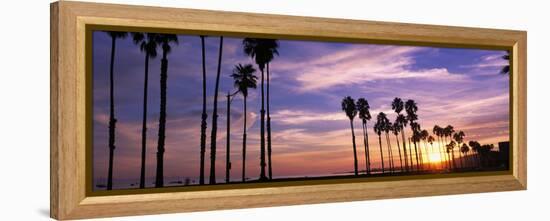 Silhouette of Palm Trees at Sunset, Santa Barbara, California, USA-null-Framed Premier Image Canvas