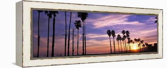 Silhouette of Palm Trees at Sunset, Santa Barbara, California, USA-null-Framed Premier Image Canvas