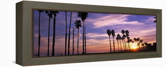 Silhouette of Palm Trees at Sunset, Santa Barbara, California, USA-null-Framed Premier Image Canvas