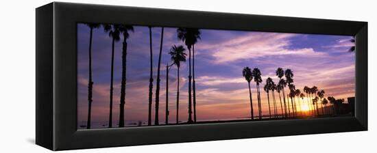 Silhouette of Palm Trees at Sunset, Santa Barbara, California, USA-null-Framed Premier Image Canvas