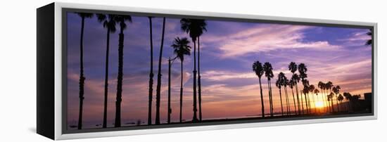 Silhouette of Palm Trees at Sunset, Santa Barbara, California, USA-null-Framed Premier Image Canvas