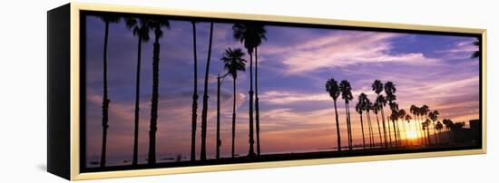 Silhouette of Palm Trees at Sunset, Santa Barbara, California, USA-null-Framed Premier Image Canvas