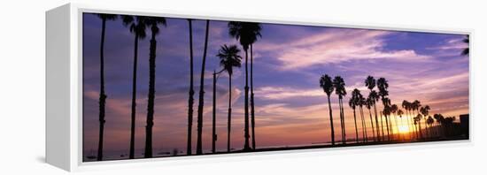 Silhouette of Palm Trees at Sunset, Santa Barbara, California, USA-null-Framed Premier Image Canvas