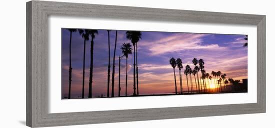 Silhouette of Palm Trees at Sunset, Santa Barbara, California, USA-null-Framed Photographic Print