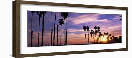 Silhouette of Palm Trees at Sunset, Santa Barbara, California, USA-null-Framed Photographic Print