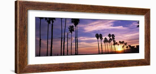 Silhouette of Palm Trees at Sunset, Santa Barbara, California, USA-null-Framed Photographic Print