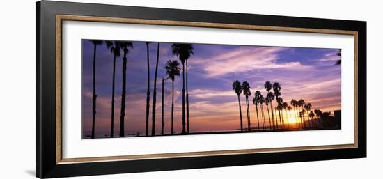 Silhouette of Palm Trees at Sunset, Santa Barbara, California, USA-null-Framed Photographic Print