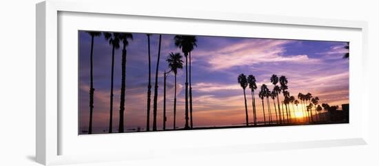 Silhouette of Palm Trees at Sunset, Santa Barbara, California, USA-null-Framed Photographic Print