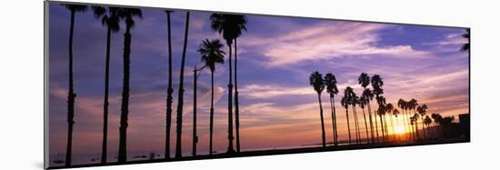 Silhouette of Palm Trees at Sunset, Santa Barbara, California, USA-null-Mounted Photographic Print