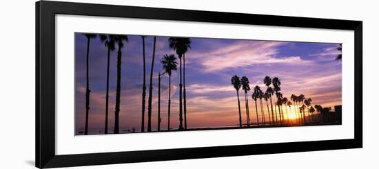 Silhouette of Palm Trees at Sunset, Santa Barbara, California, USA-null-Framed Photographic Print