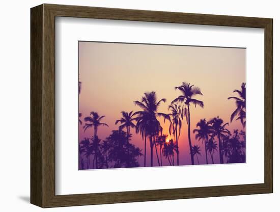 Silhouette of Palm Trees at Sunset, Vintage Filter-grop-Framed Photographic Print