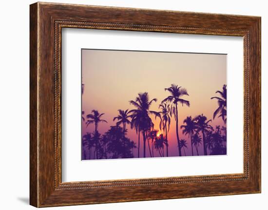 Silhouette of Palm Trees at Sunset, Vintage Filter-grop-Framed Photographic Print