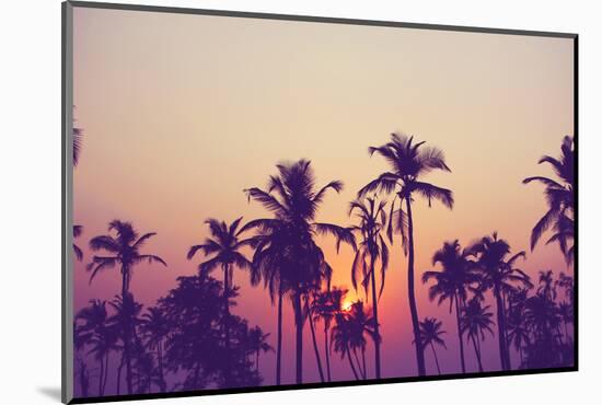 Silhouette of Palm Trees at Sunset, Vintage Filter-grop-Mounted Photographic Print