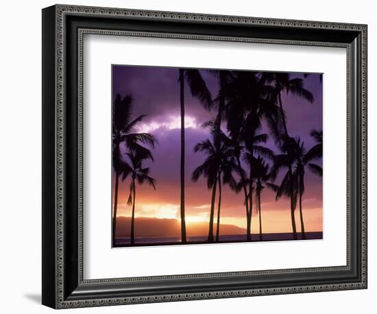 Silhouette of Palm Trees, Hawaii-Mitch Diamond-Framed Photographic Print