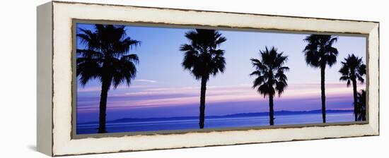 Silhouette of palm trees, Laguna Beach, Orange County, California, USA-null-Framed Premier Image Canvas