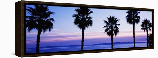 Silhouette of palm trees, Laguna Beach, Orange County, California, USA-null-Framed Premier Image Canvas