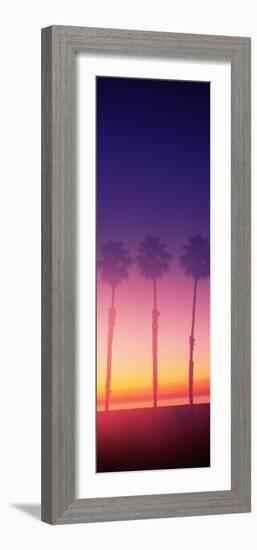 Silhouette of palm trees on beach during fog at sunset, Santa Barbara, California, USA-null-Framed Photographic Print