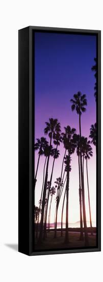 Silhouette of palm trees on beach, Santa Barbara, California, USA-null-Framed Premier Image Canvas