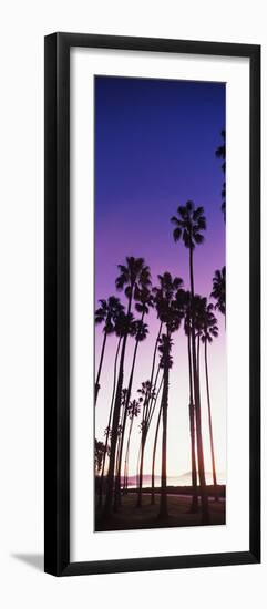 Silhouette of palm trees on beach, Santa Barbara, California, USA-null-Framed Photographic Print