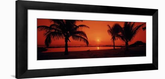 Silhouette of Palm Trees on the Beach at Dusk, Lydgate Park, Kauai, Hawaii, USA-null-Framed Photographic Print