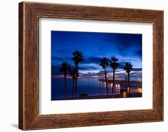 Silhouette of Palm Trees on the Beach, Laguna Beach, California, USA-null-Framed Photographic Print