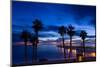 Silhouette of Palm Trees on the Beach, Laguna Beach, California, USA-null-Mounted Photographic Print