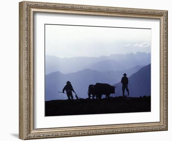 Silhouette of Ploughmen with Oxen, Colca Canyon, Peru-John Warburton-lee-Framed Photographic Print