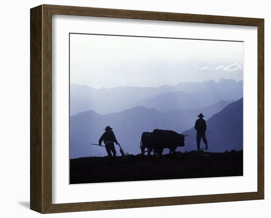 Silhouette of Ploughmen with Oxen, Colca Canyon, Peru-John Warburton-lee-Framed Photographic Print