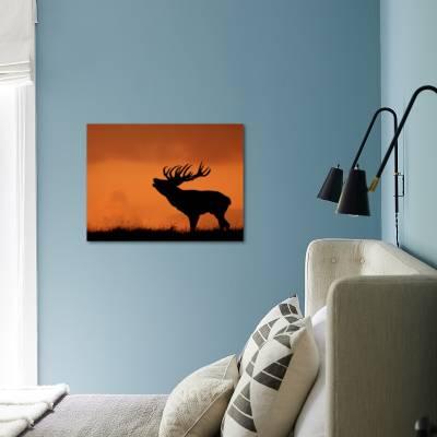Red deer stags silhouetted at sunset in winter, UK - Stock Image -  C049/6189 - Science Photo Library