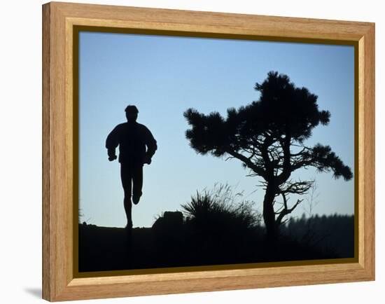 Silhouette of Runner and Tree-null-Framed Premier Image Canvas