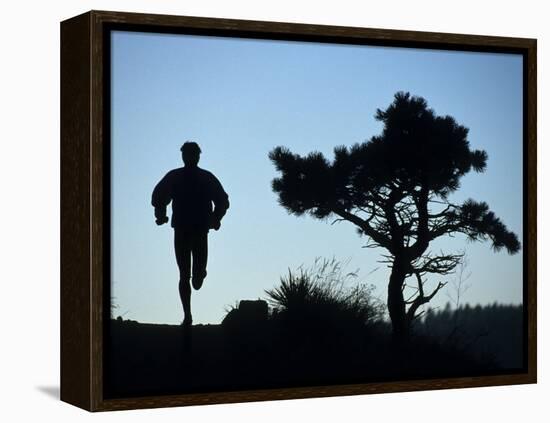 Silhouette of Runner and Tree-null-Framed Premier Image Canvas
