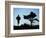 Silhouette of Runner and Tree-null-Framed Photographic Print