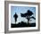 Silhouette of Runner and Tree-null-Framed Photographic Print