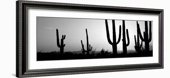 Silhouette of Saguaro Cacti (Carnegiea Gigantea) on a Landscape, Saguaro National Park, Tucson-null-Framed Photographic Print