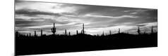 Photographic Print