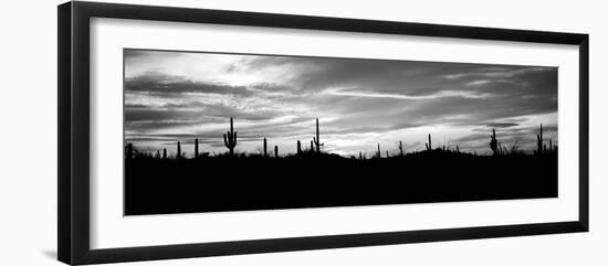 Silhouette of Saguaro Cacti (Carnegiea Gigantea) on a Landscape, Saguaro National Park, Tucson-null-Framed Photographic Print