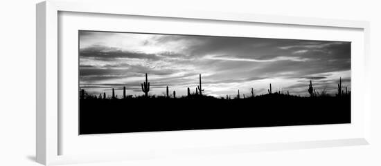 Silhouette of Saguaro Cacti (Carnegiea Gigantea) on a Landscape, Saguaro National Park, Tucson-null-Framed Photographic Print