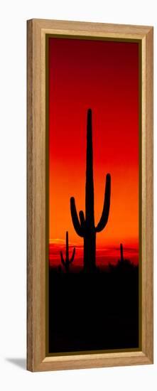 Silhouette of Saguaro Cactus at Sunset, Arizona, Usa-null-Framed Stretched Canvas