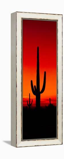 Silhouette of Saguaro Cactus at Sunset, Arizona, Usa-null-Framed Stretched Canvas