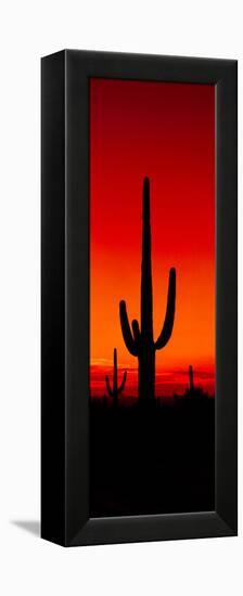 Silhouette of Saguaro Cactus at Sunset, Arizona, Usa-null-Framed Stretched Canvas