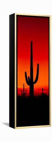 Silhouette of Saguaro Cactus at Sunset, Arizona, Usa-null-Framed Stretched Canvas