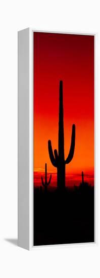 Silhouette of Saguaro Cactus at Sunset, Arizona, Usa-null-Framed Stretched Canvas