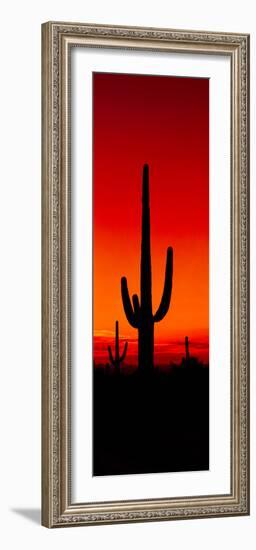 Silhouette of Saguaro Cactus at Sunset, Arizona, Usa-null-Framed Photographic Print